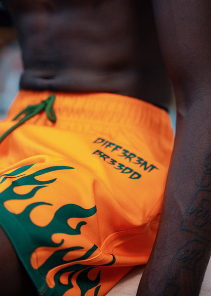 ORANGE AND GREEN MENS SHORTS